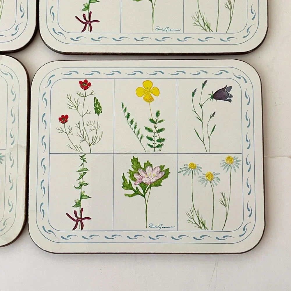 Vintage Jason Drink Coasters Flower Box Cork Backed Rectangle Set 6‎ New Zealand